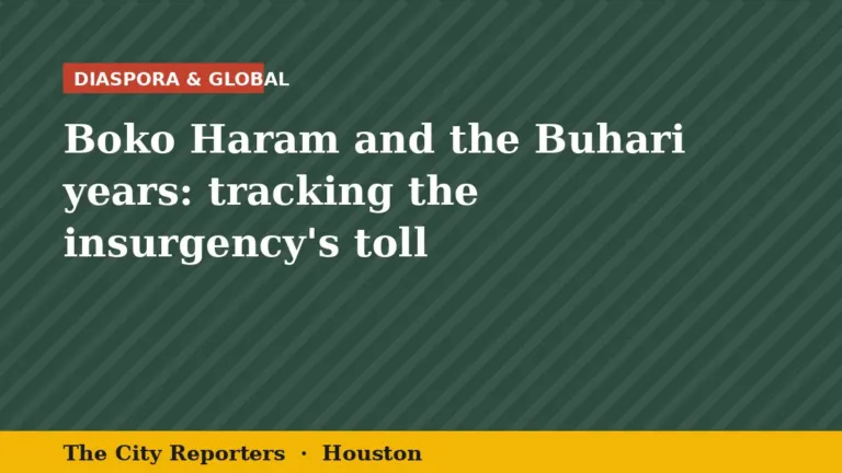 The City Reporters graphic: Boko Haram and the Buhari years: tracking the insurgency's toll